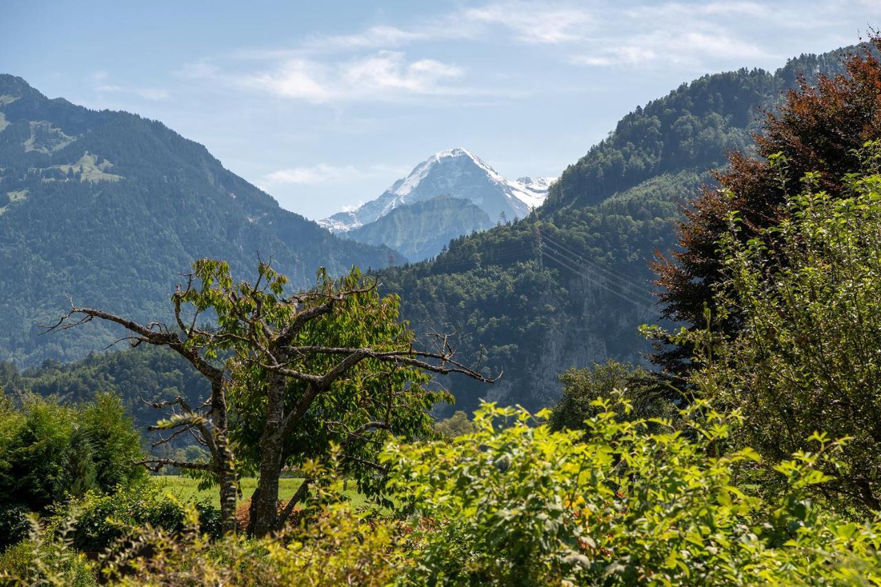 Salzano Basic Interlaken Hotel