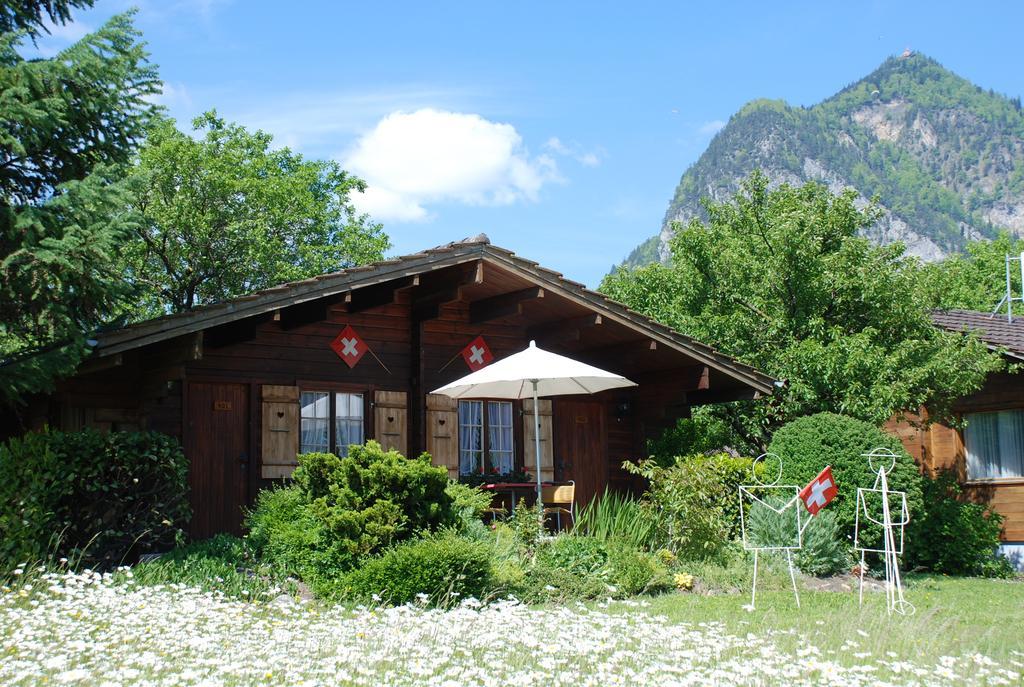 Salzano Basic Interlaken Hotel Unterseen
